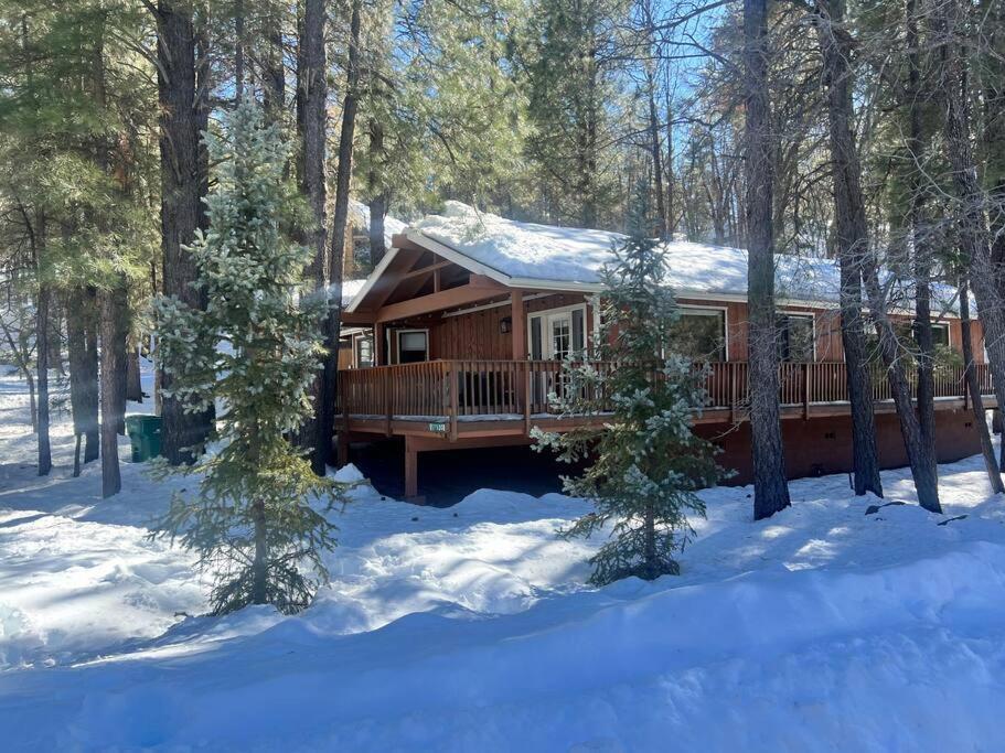 The Bluejay Cabin At Munds Park, Az! Седона Екстер'єр фото