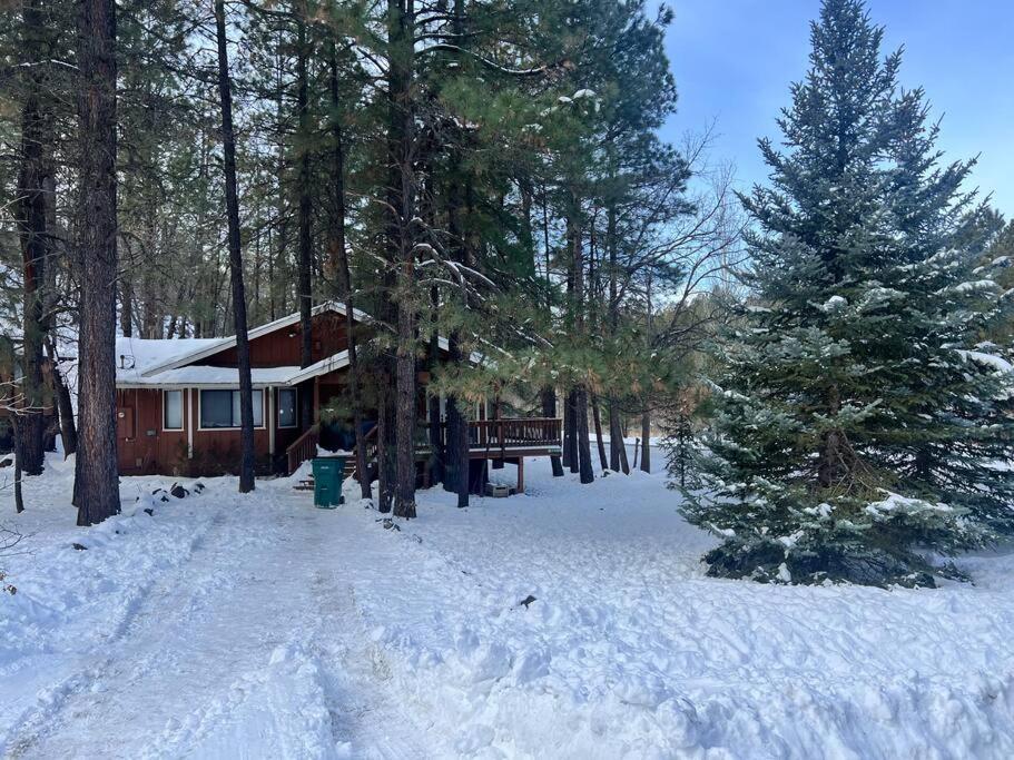 The Bluejay Cabin At Munds Park, Az! Седона Екстер'єр фото
